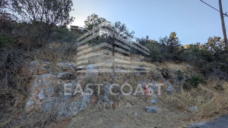 Οικόπεδο 1.070 τ.μ. πρός πώληση, Αθήνα - Ανατολικά Προάστια, Μαραθώνας