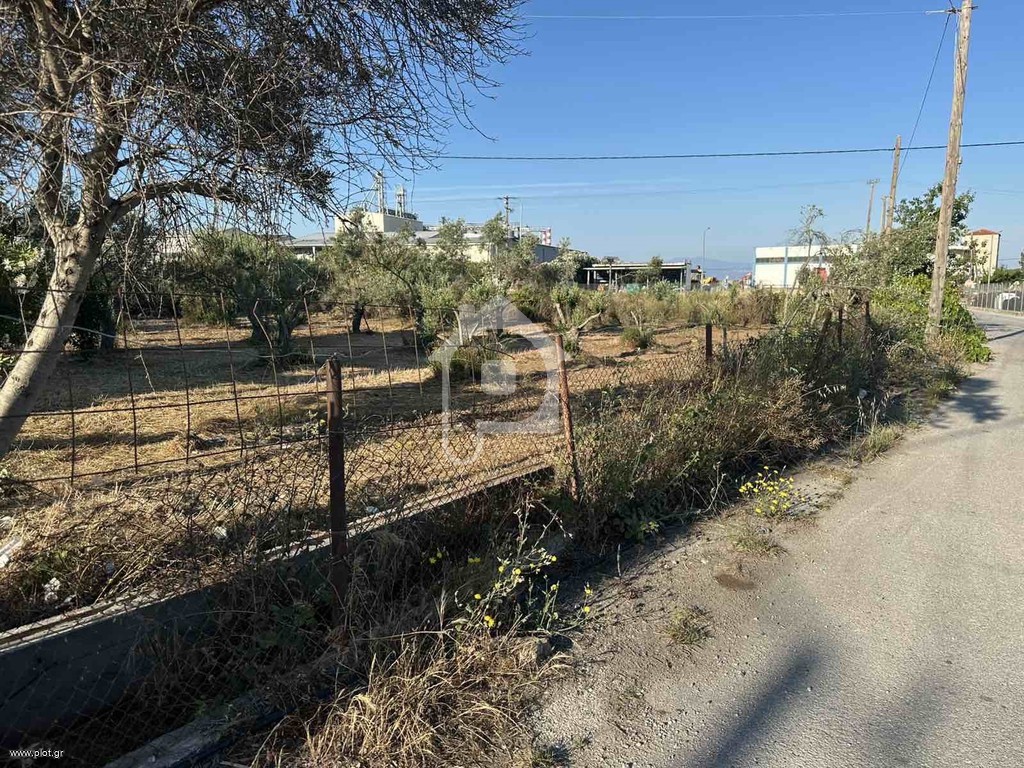Οικόπεδο 4.500 τ.μ. προς πώληση, Ανθούπολη Ταμυνών