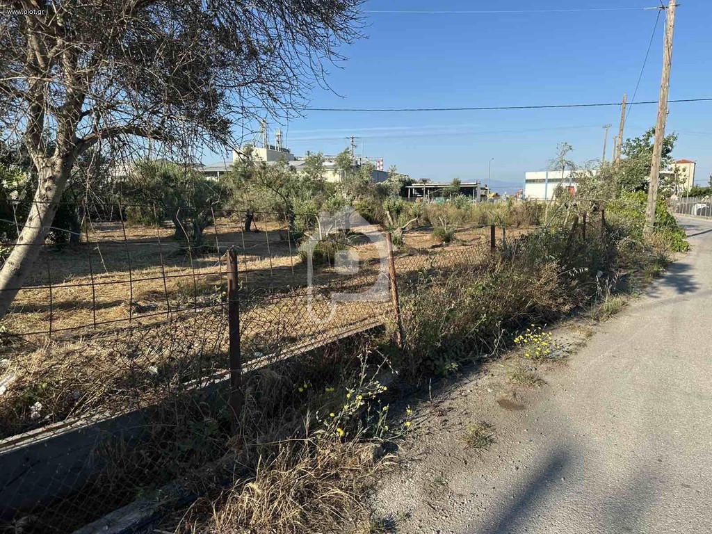 Οικόπεδο 4.500 τ.μ. προς πώληση, Ανθούπολη Ταμυνών