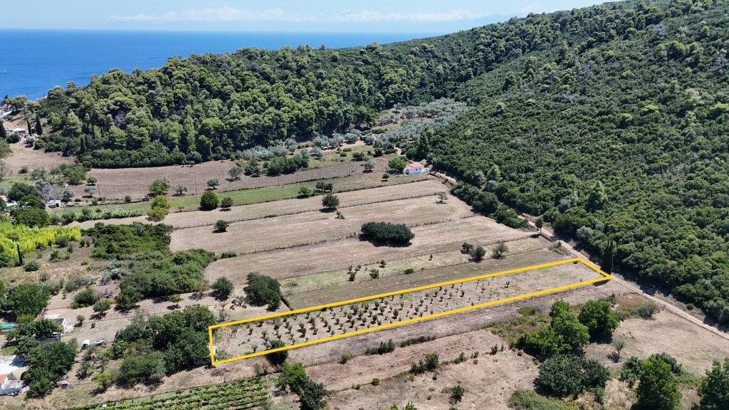 Αγροτεμάχια 2.562 τ.μ. προς πώληση, Στάφυλος