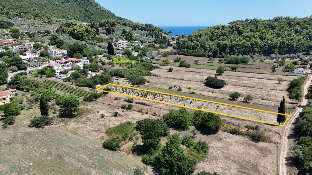 Αγροτεμάχια 2.562 τ.μ. προς πώληση, Στάφυλος