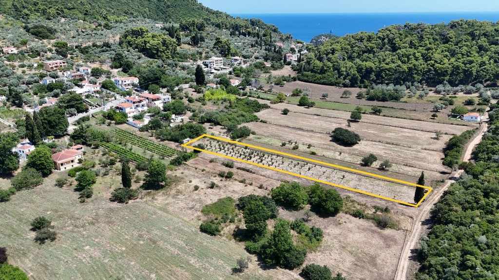 Αγροτεμάχια 2.562 τ.μ. προς πώληση, Στάφυλος