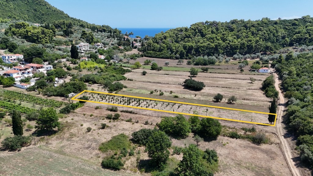 Αγροτεμάχια 2.562 τ.μ. προς πώληση, Στάφυλος