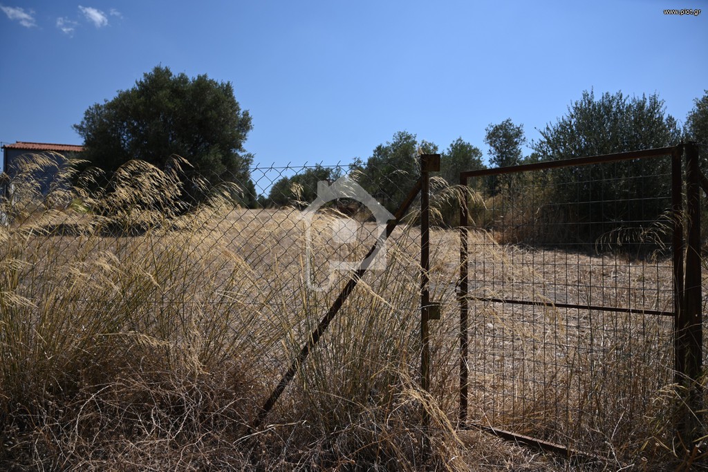 Αγροτεμάχια 2.300 τ.μ. προς πώληση, Μαλακώντα