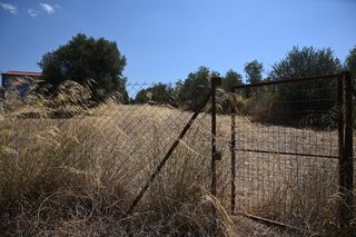 Αγροτεμάχια 2.300 τ.μ. για πώληση