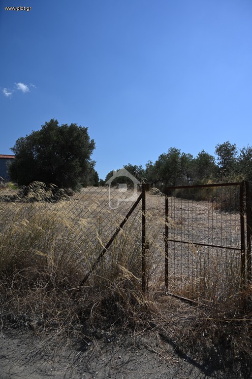 Αγροτεμάχια 2.300 τ.μ. προς πώληση, Μαλακώντα