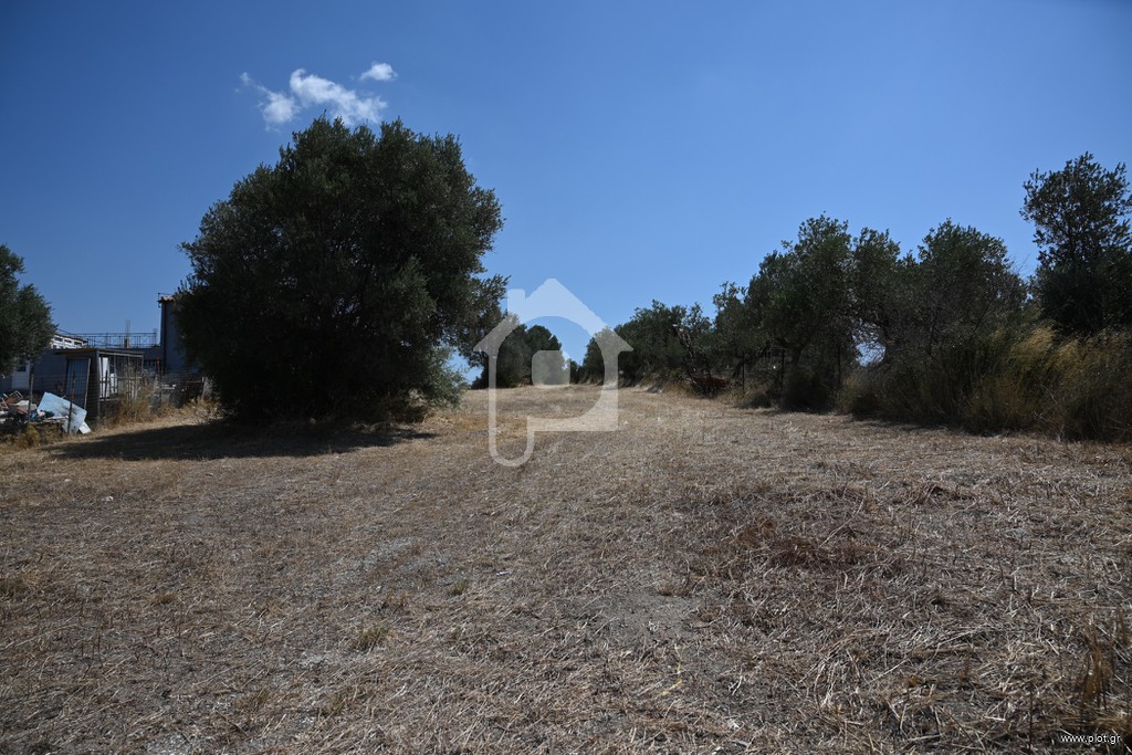 Αγροτεμάχια 2.300 τ.μ. προς πώληση, Μαλακώντα