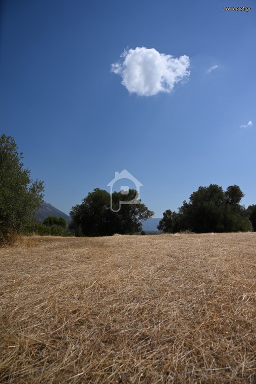 Αγροτεμάχια 2.300 τ.μ. προς πώληση, Μαλακώντα