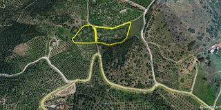 Αγροτεμάχια 11.630 τ.μ. προς ενοικίαση, Διμήνι-thumb-5