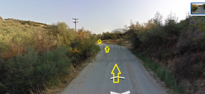 Αγροτεμάχια 11.630 τ.μ. προς ενοικίαση, Μαγνησία, Αισωνία