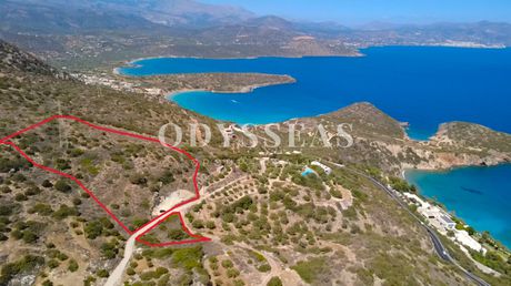 Αγροτεμάχια 11.675 τ.μ. προς πώληση