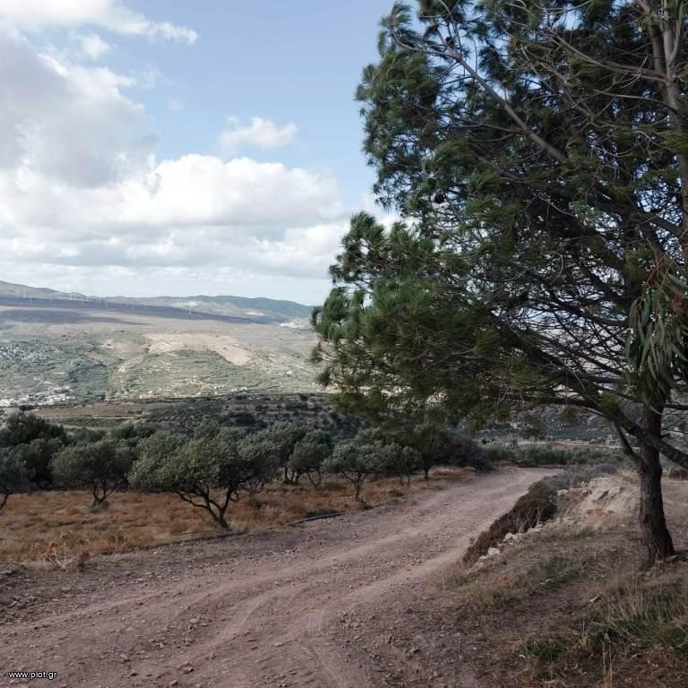 Μονοκατοικία 40 τ.μ. πρός πώληση, Ν. Λασιθίου, Σητεία