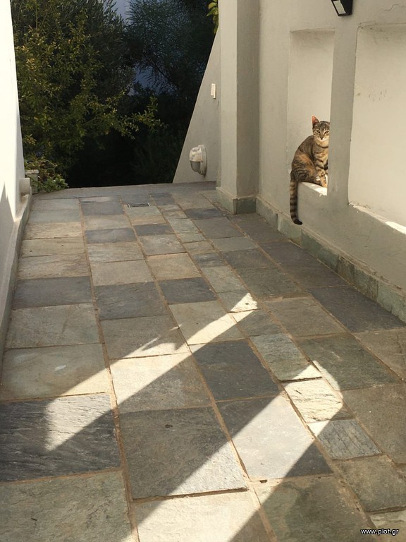 Διαμέρισμα 40 τ.μ. πρός πώληση, Ν. Λασιθίου, Σητεία