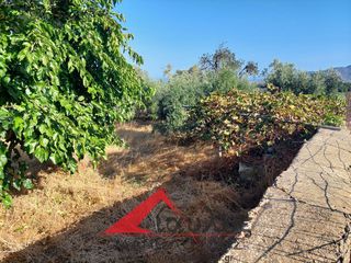 Μονοκατοικία 126 τ.μ. για πώληση, Ν. Ρεθύμνου, Γεροπόταμος-thumb-13