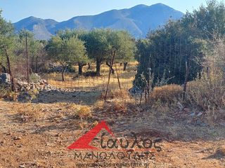 Αγροτεμάχια 3.852 τ.μ. για πώληση, Ν. Ρεθύμνου, Γεροπόταμος-thumb-1