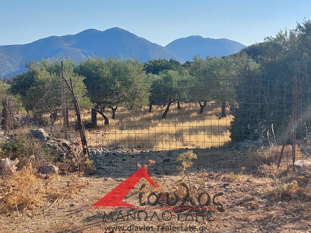 Αγροτεμάχια 3.852 τ.μ. προς πώληση, Ν. Ρεθύμνου, Γεροπόταμος