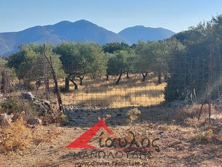 Αγροτεμάχια 3.852 τ.μ. για πώληση, Ν. Ρεθύμνου, Γεροπόταμος-thumb-2