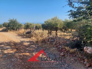 Αγροτεμάχια 3.852 τ.μ. για πώληση, Ν. Ρεθύμνου, Γεροπόταμος-thumb-4