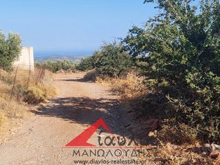 Αγροτεμάχια 3.852 τ.μ. για πώληση, Ν. Ρεθύμνου, Γεροπόταμος-thumb-5