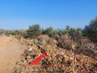 Αγροτεμάχια 3.852 τ.μ. για πώληση, Ν. Ρεθύμνου, Γεροπόταμος-thumb-6