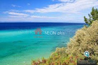 Οικόπεδο 9.087 τ.μ. προς πώληση, Καλλιράχη-thumb-3