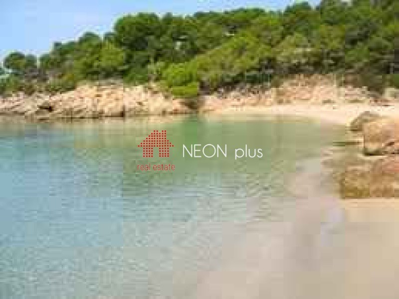 Οικόπεδο 9.087 τ.μ. πρός πώληση, Ν. Καβάλας, Θάσος