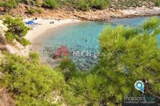 Οικόπεδο 9.087 τ.μ. προς πώληση, Καλλιράχη-thumb-2