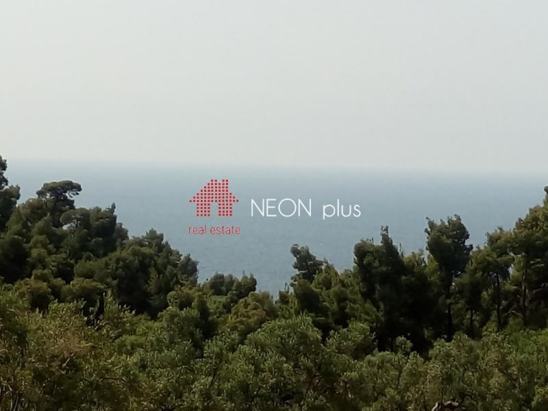 Οικόπεδο 1.400 τ.μ. πρός πώληση, Χαλκιδική, Κασσάνδρα