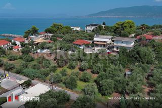 Οικόπεδο 732 τ.μ. για πώληση, Μεσσηνία, Αβία-thumb-8