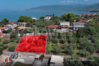 Οικόπεδο 732 τ.μ. για πώληση, Μεσσηνία, Αβία-thumb-9