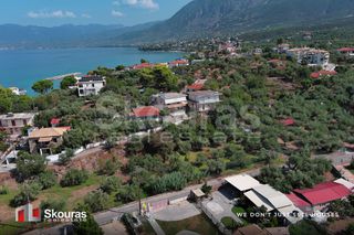 Οικόπεδο 732 τ.μ. για πώληση, Μεσσηνία, Αβία-thumb-11