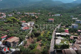 Οικόπεδο 732 τ.μ. για πώληση, Μεσσηνία, Αβία-thumb-12