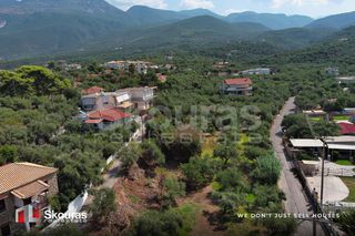 Οικόπεδο 732 τ.μ. για πώληση, Μεσσηνία, Αβία-thumb-15
