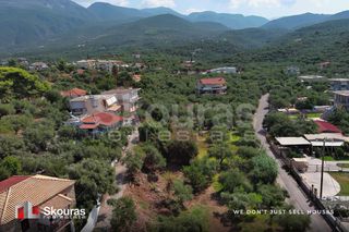 Οικόπεδο 732 τ.μ. για πώληση, Μεσσηνία, Αβία-thumb-14