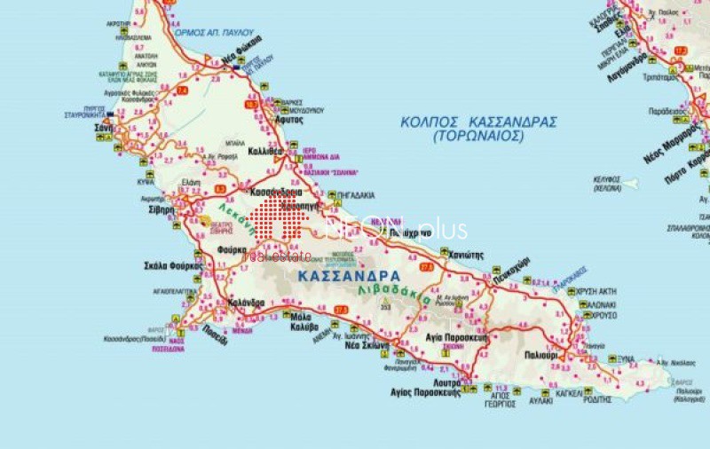 Αγροτεμάχια 16.895 τ.μ. πρός πώληση, Χαλκιδική, Κασσάνδρα