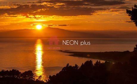 Αγροτεμάχια 16.895 τ.μ. πρός πώληση