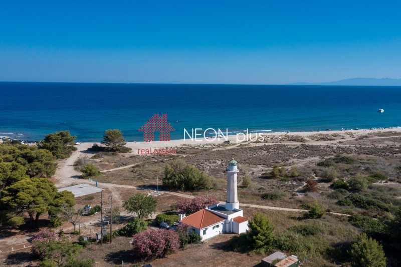 Αγροτεμάχια 4.140 τ.μ. πρός πώληση, Χαλκιδική, Κασσάνδρα
