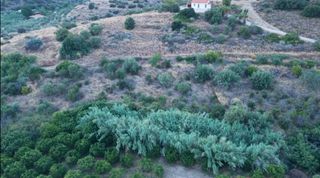 Οικόπεδο 8.000 τ.μ. για πώληση