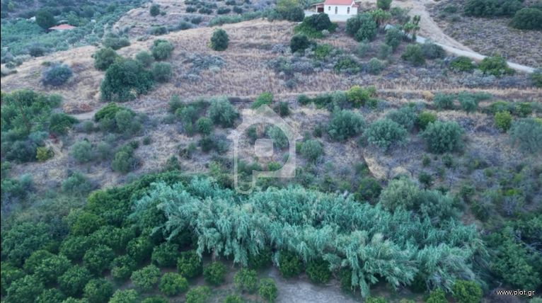 Οικόπεδο 8.000 τ.μ. για πώληση, Αργολίδα, Ναύπλιο