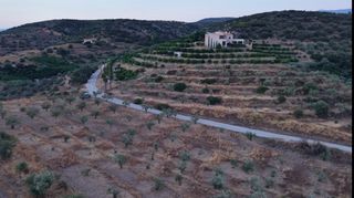 Οικόπεδο 12.000 τ.μ. για πώληση