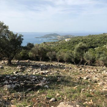 Αγροτεμάχια 23.000 τ.μ. πρός πώληση