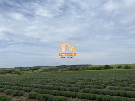 Parcel 7.000 sqm for sale