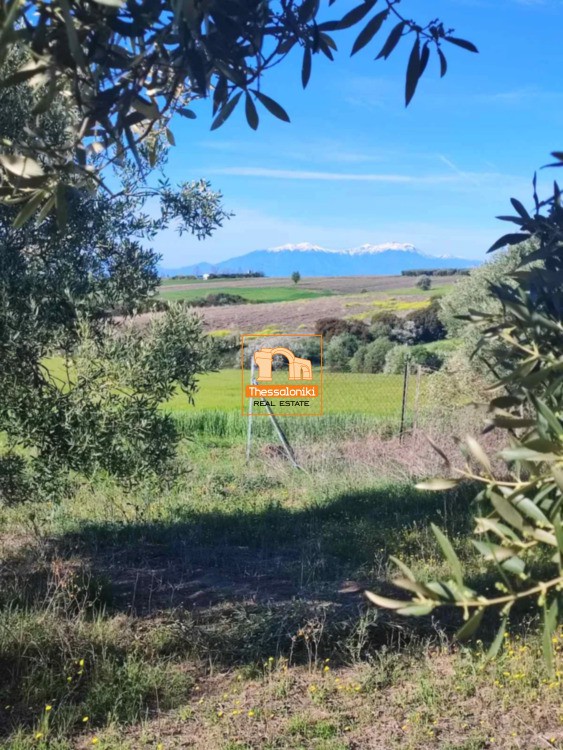 Αγροτεμάχια 10.000 τ.μ. προς πώληση, Νέα Ηράκλεια