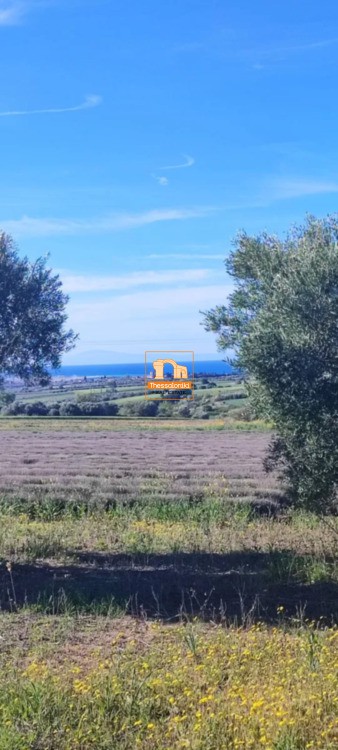 Αγροτεμάχια 10.000 τ.μ. προς πώληση, Νέα Ηράκλεια