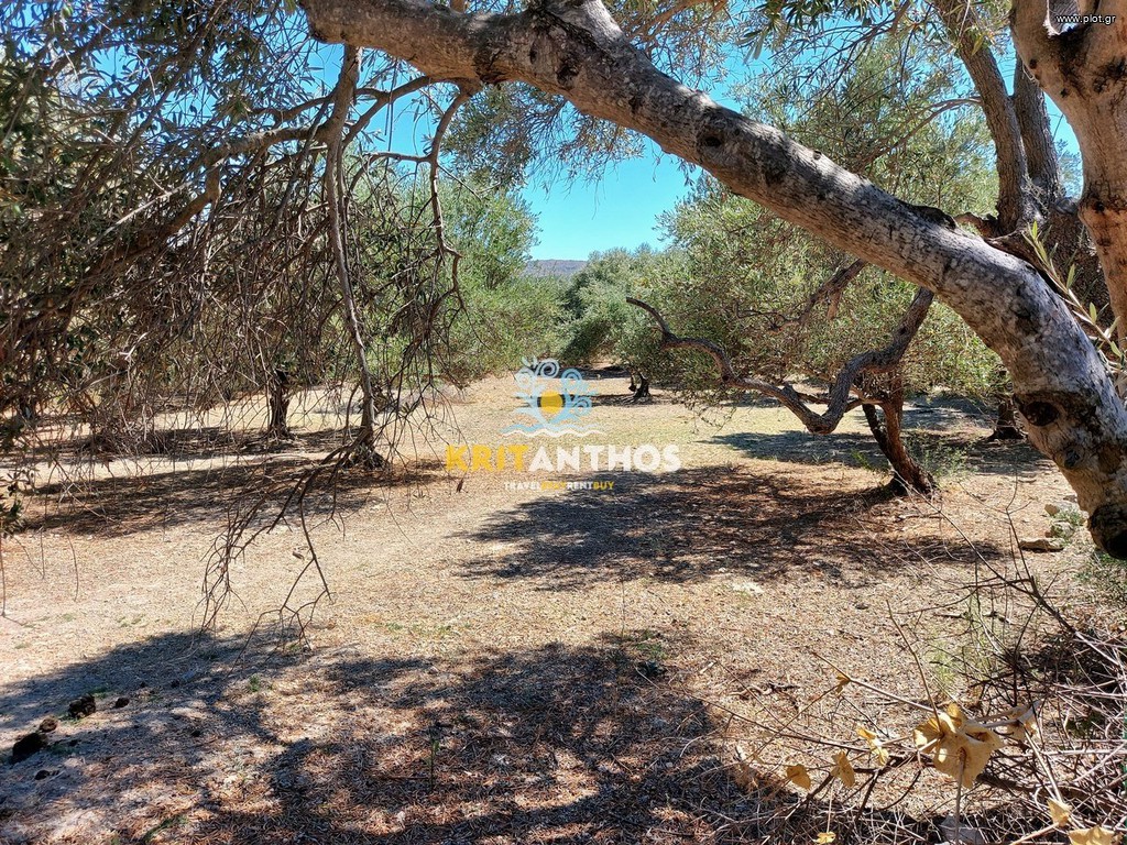 Οικόπεδο 2.711 τ.μ. πρός πώληση, Ν. Ρεθύμνου, Νικηφόρος Φωκάς