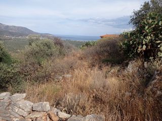 Οικόπεδο 950 τ.μ. για πώληση