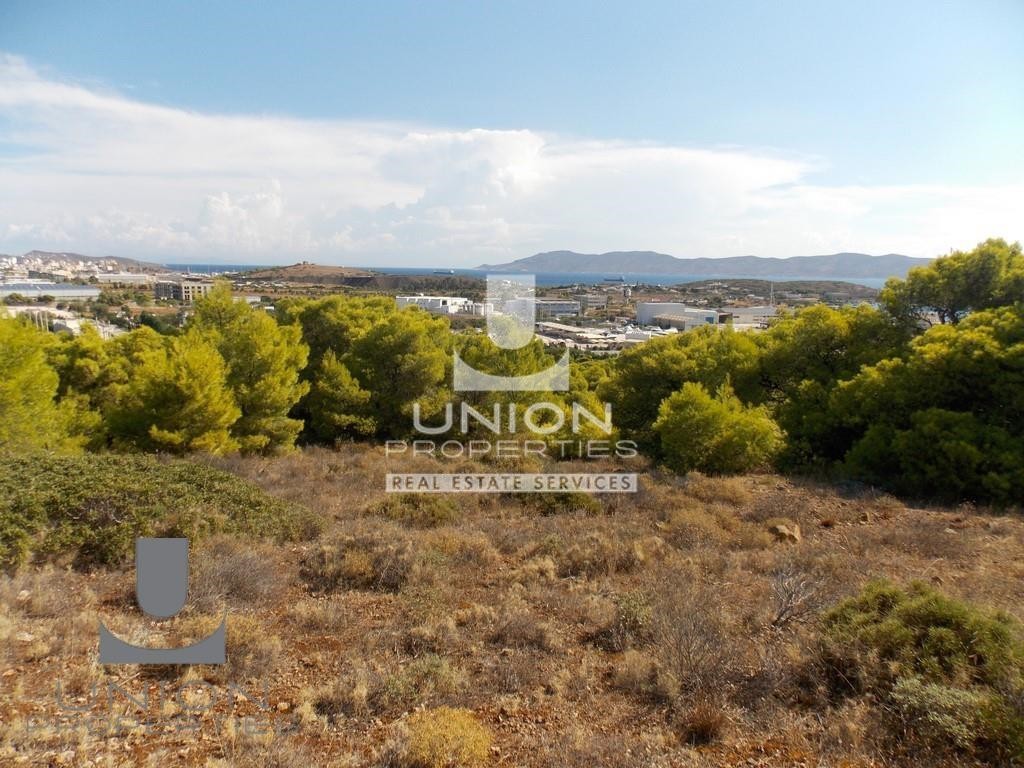 Οικόπεδο 8.369 τ.μ. πρός πώληση, Αττική - Υπόλοιπο, Λαύριο