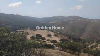 Αγροτεμάχια 5.500 τ.μ. για πώληση