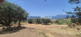 Αγροτεμάχια 6.052 τ.μ. για πώληση