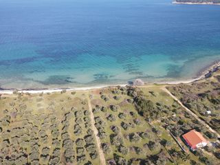 Αγροτεμάχια 1.305 τ.μ. για πώληση